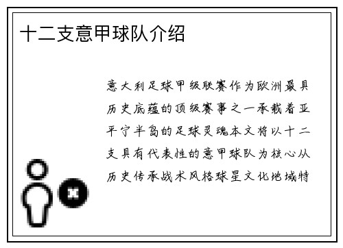 十二支意甲球队介绍